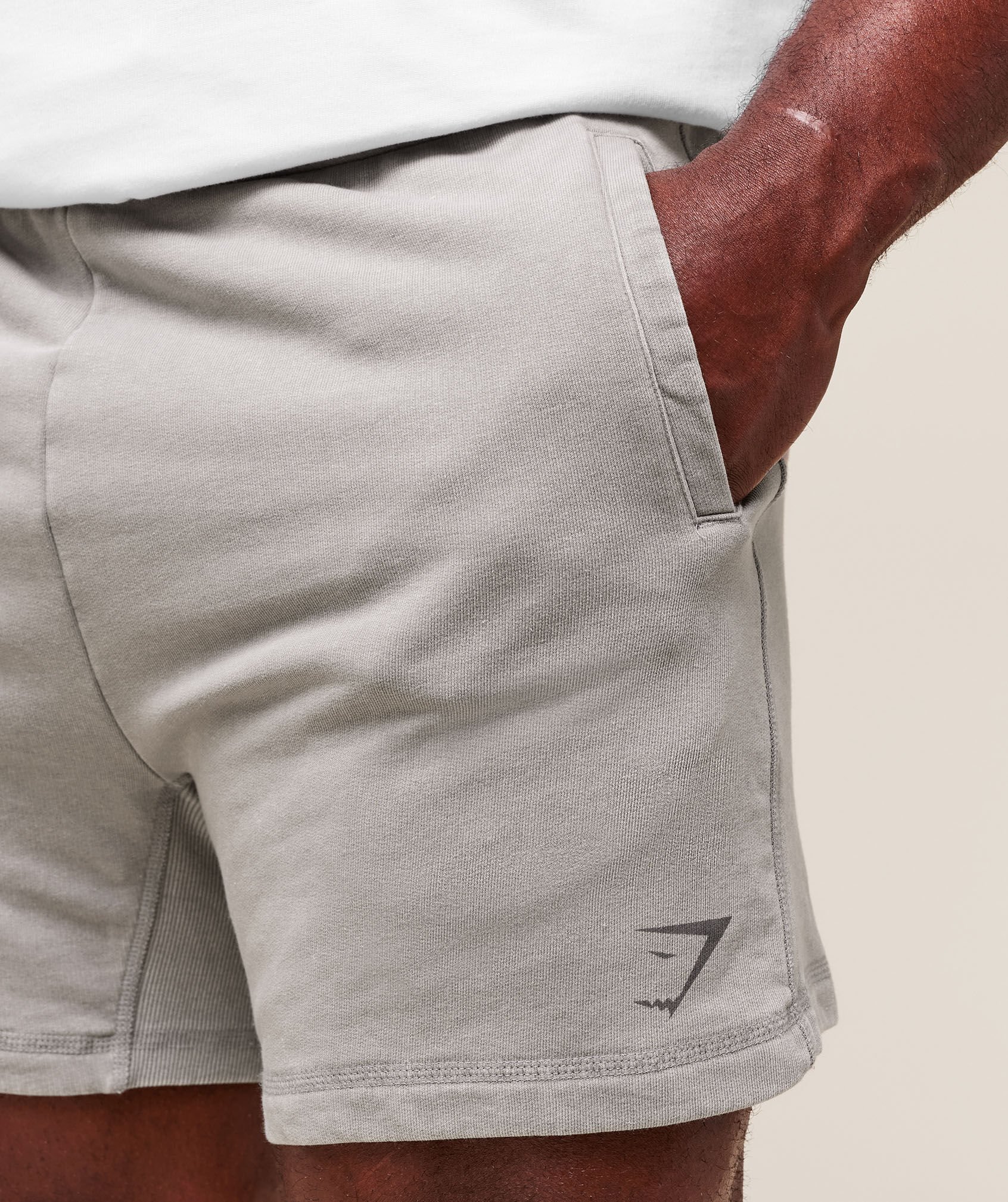 Power Washed 5" Shorts