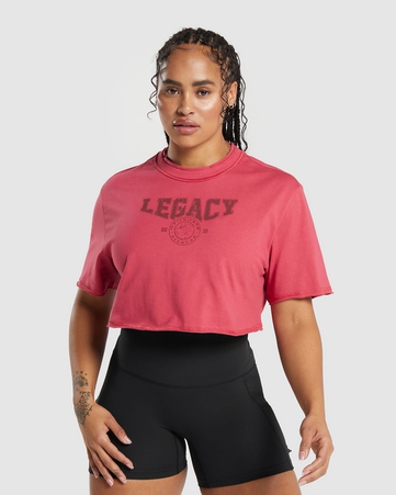 Legacy Graphic Crop Top