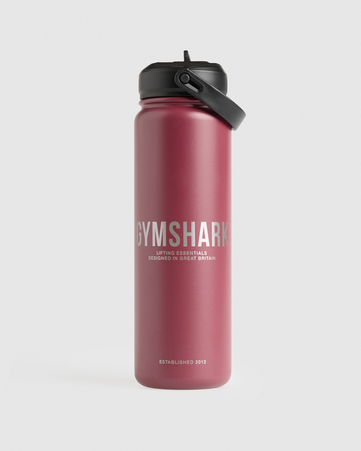 Metal Insulated Straw Bottle 700ml