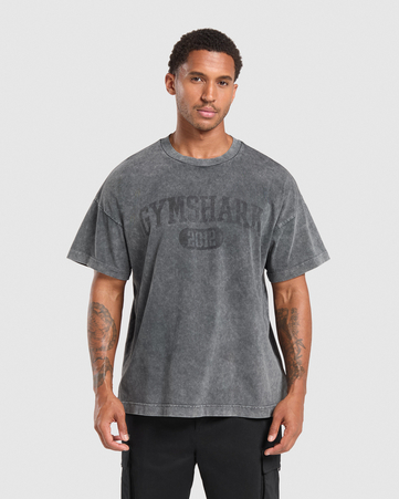 Collegiate Shadow Washed T-Shirt