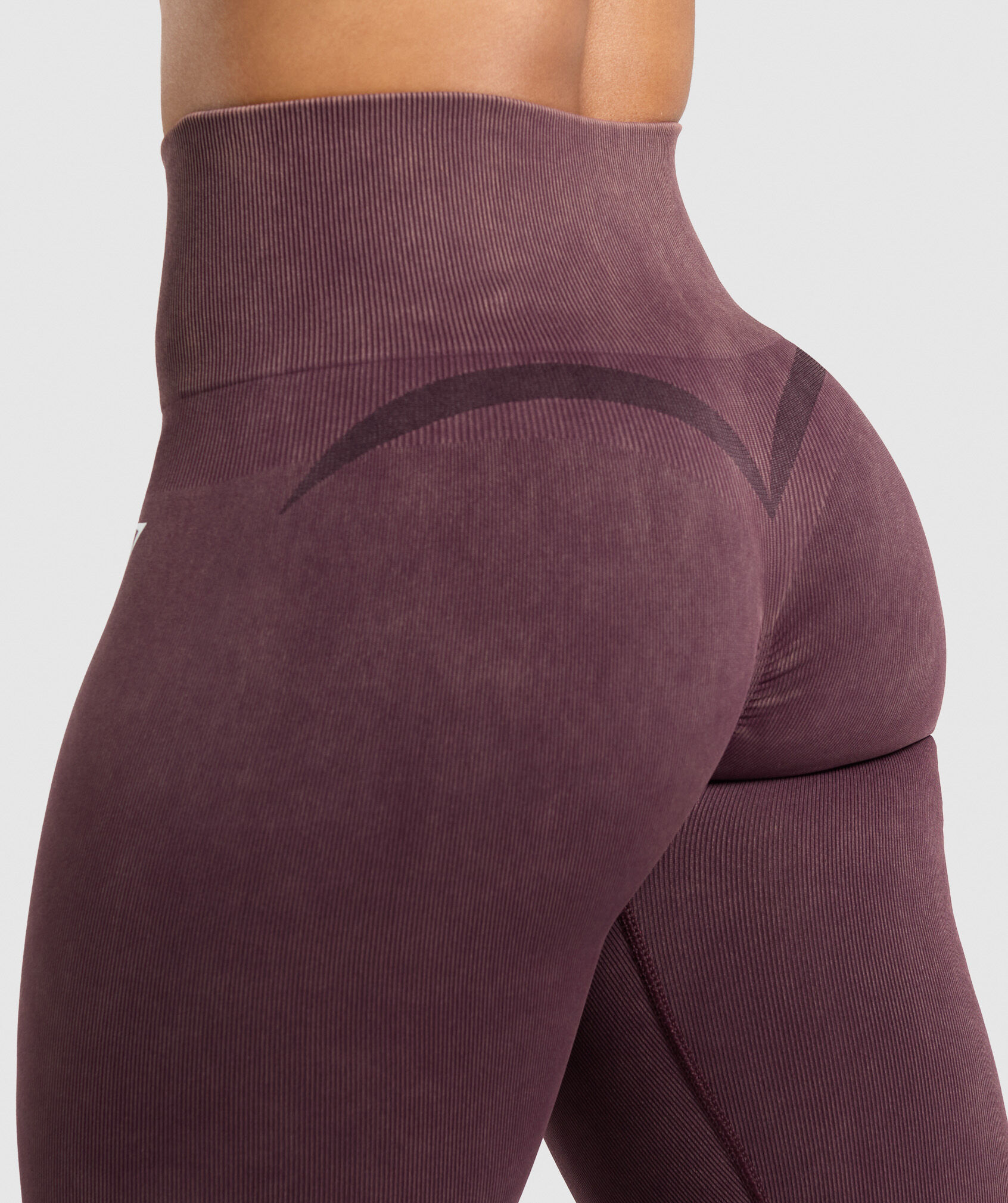 Gains Seamless Legging