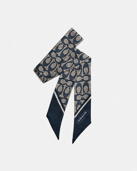 Textured Signature Print Silk Skinny Scarf