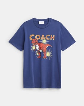 Garment Washed Dinosaur T-shirt In Organic Cotton