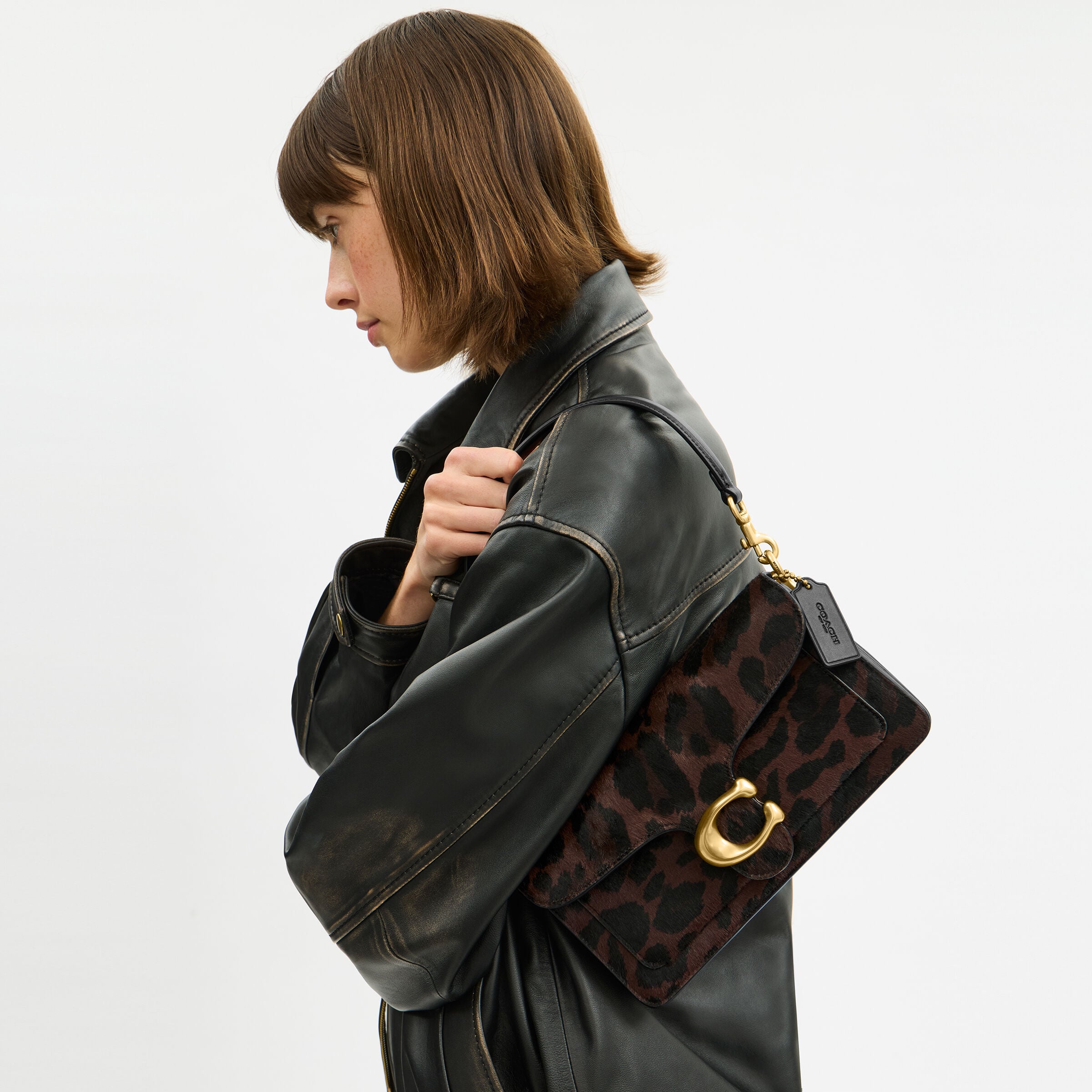 バッグ Coach Haircalf Leopard Shoulder Bag Buy COACH Tabby Shoulder Bag 26 In Haircalf With Leopard Print