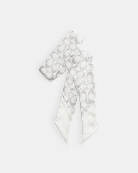 Vintage Signature C Printed Silk Skinny Scarf