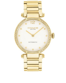 ساعة كاري ستانلس ستيل، 34 مم