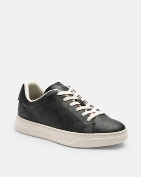 High Line Sneaker In Signature Canvas