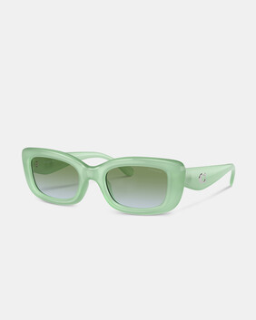 C Hardware Narrow Rectangle Sunglasses