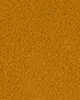 Open Brown