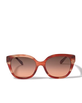 Wayfarer Frame Ny Temple Sunglasses