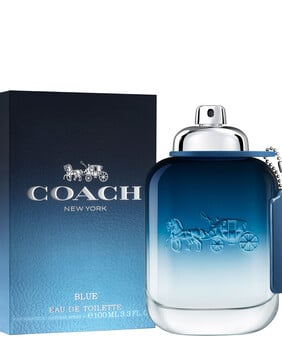 Man Blue Eau De Toilette 100ml