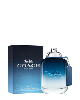 Man Blue Eau De Toilette 100ml