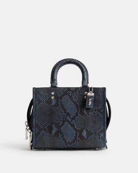 حقيبة روج 20 بيثون