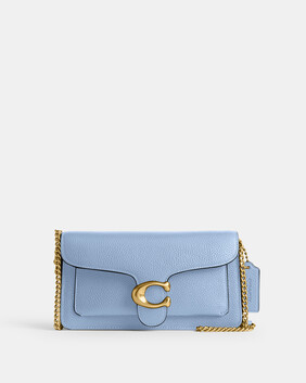 Tabby Chain Clutch 21