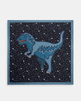 Shooting Star Rexy Print Silk Square Scarf